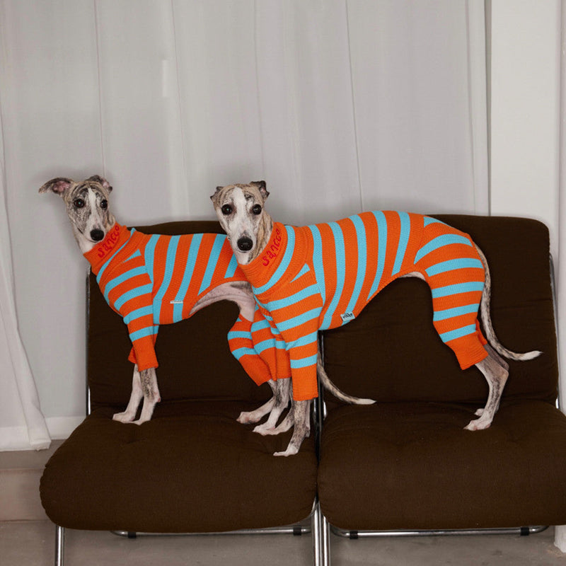 HKM-7187517 Knitted Color-Block Stretch Four-Legged Dog Outfit for All Sizes