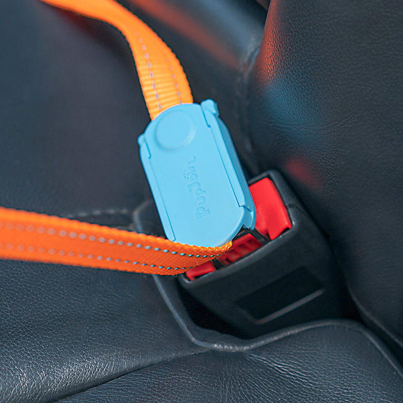 HKM-7192509 Durable Dog Car Safety Buckle and Traction Rope for Small to Medium Dogs