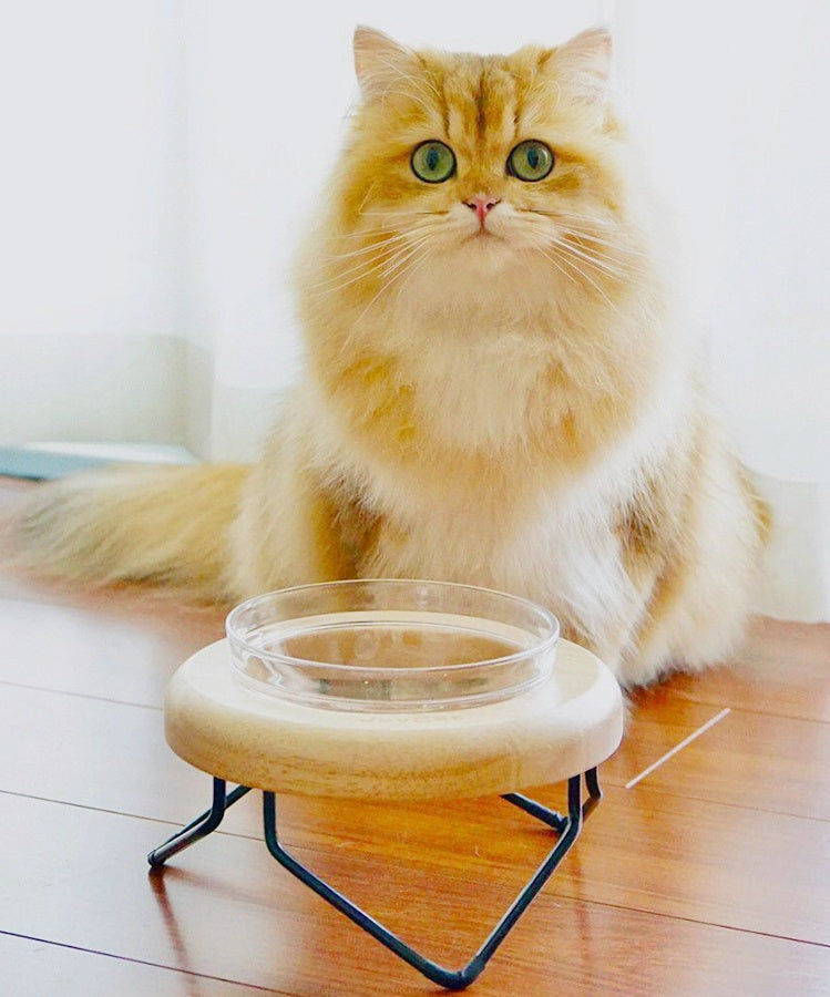 HKM-7192893 Solid Wood Cat Bowl Rack - Natural Wood Pet Feeding Stand (19*19*10cm)