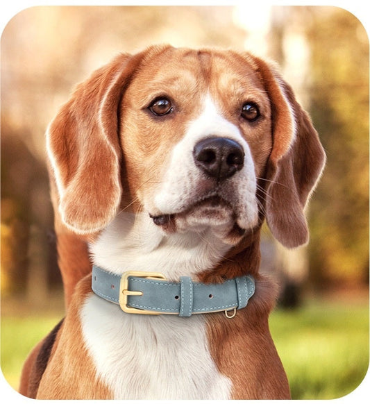 HKM-7194173 Double-Layer Leather Pet Collar with Traction Rope for Small to XL Dogs