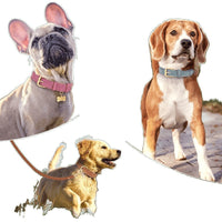 HKM-7194173 Double-Layer Leather Pet Collar with Traction Rope for Small to XL Dogs