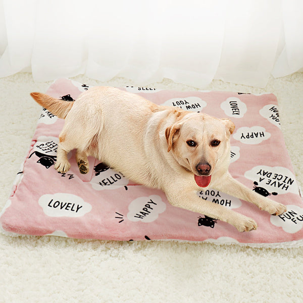 HKM-7194557 Lambskin Flannel and Cashmere Pet Blanket with Cute Cartoon Design