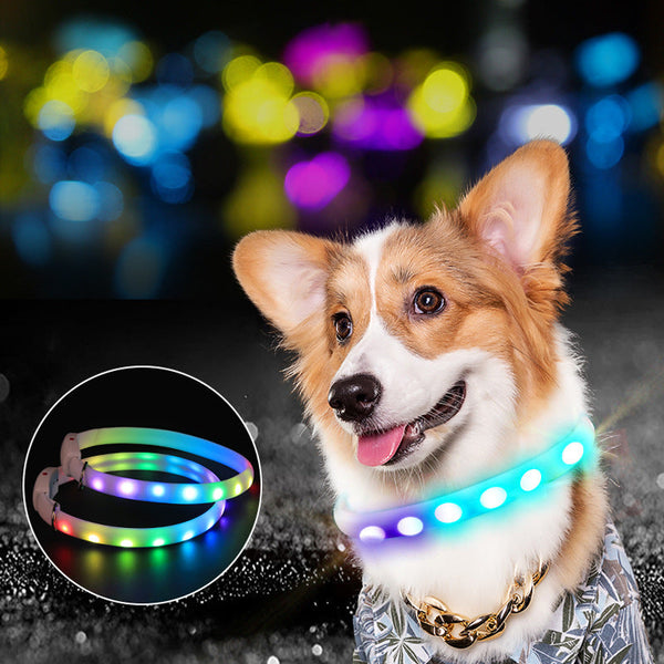 HKM-7194685 Luminous Rechargeable Dog Walking Collar Leash - Universal Size 65cm for All Seasons