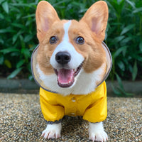 HKM-7196861 Waterproof Four-Legged Raincoat for Small and Medium Dogs and Cats with Adjustable Design