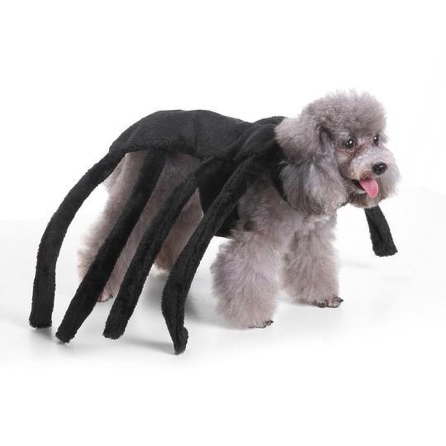 HKM-719763 Dog Spider Costume for Pets - Unique Design for Halloween Fun