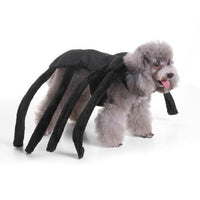 HKM-719763 Dog Spider Costume for Pets - Unique Design for Halloween Fun