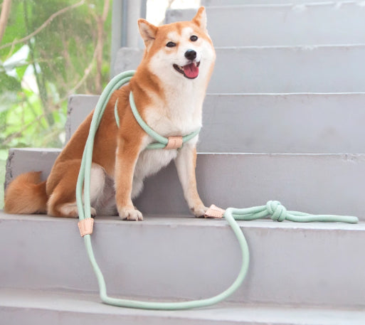 HKM-7198269 Light Green Multi-Functional Anti-Burst Pet Chest Harness with Adjustable 3.8m Leash