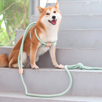 HKM-7198269 Light Green Multi-Functional Anti-Burst Pet Chest Harness with Adjustable 3.8m Leash