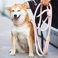 HKM-7198269 Light Green Multi-Functional Anti-Burst Pet Chest Harness with Adjustable 3.8m Leash