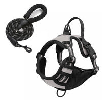 HKM-7201085 Nylon Dog Hand-Holding Rope for Chest and Back – Available in Multiple Colors (1.5m)
