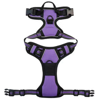 HKM-7201085 Nylon Dog Hand-Holding Rope for Chest and Back – Available in Multiple Colors (1.5m)