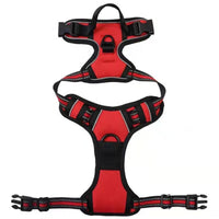 HKM-7201085 Nylon Dog Hand-Holding Rope for Chest and Back – Available in Multiple Colors (1.5m)