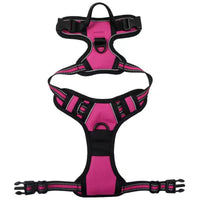 HKM-7201085 Nylon Dog Hand-Holding Rope for Chest and Back – Available in Multiple Colors (1.5m)