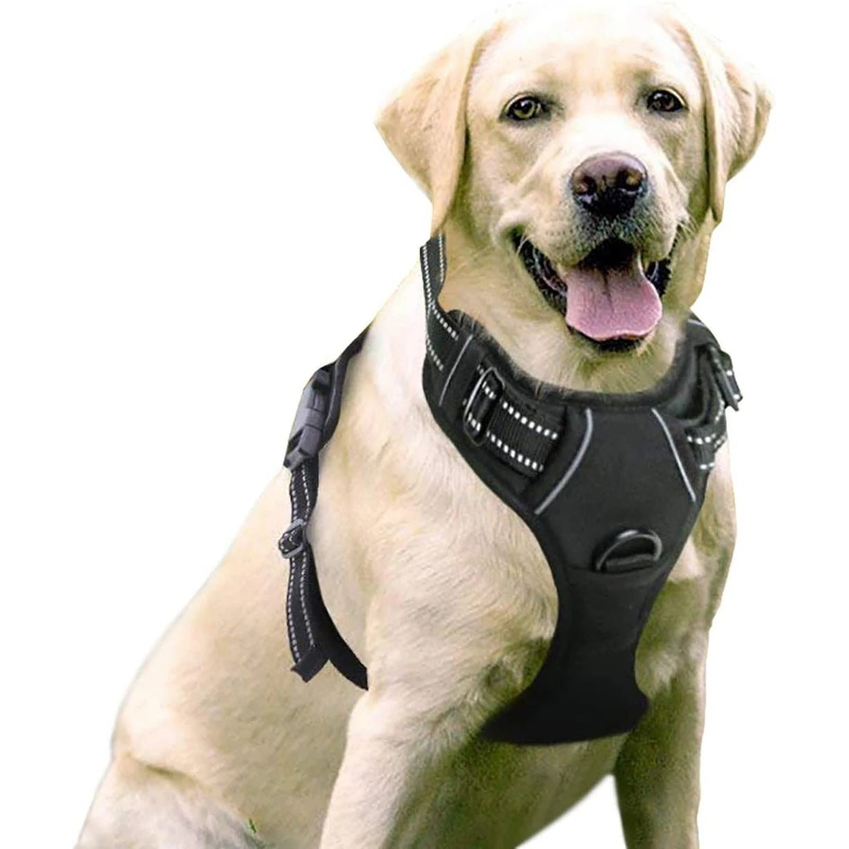 HKM-7201085 Nylon Dog Hand-Holding Rope for Chest and Back – Available in Multiple Colors (1.5m)