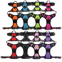 HKM-7201085 Nylon Dog Hand-Holding Rope for Chest and Back – Available in Multiple Colors (1.5m)