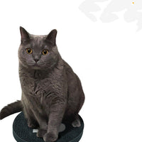 HKM-7204413 Double-Sided Cat Scratching Board for Claw Maintenance - 42 cm Diameter, Eco-Friendly Cardboard