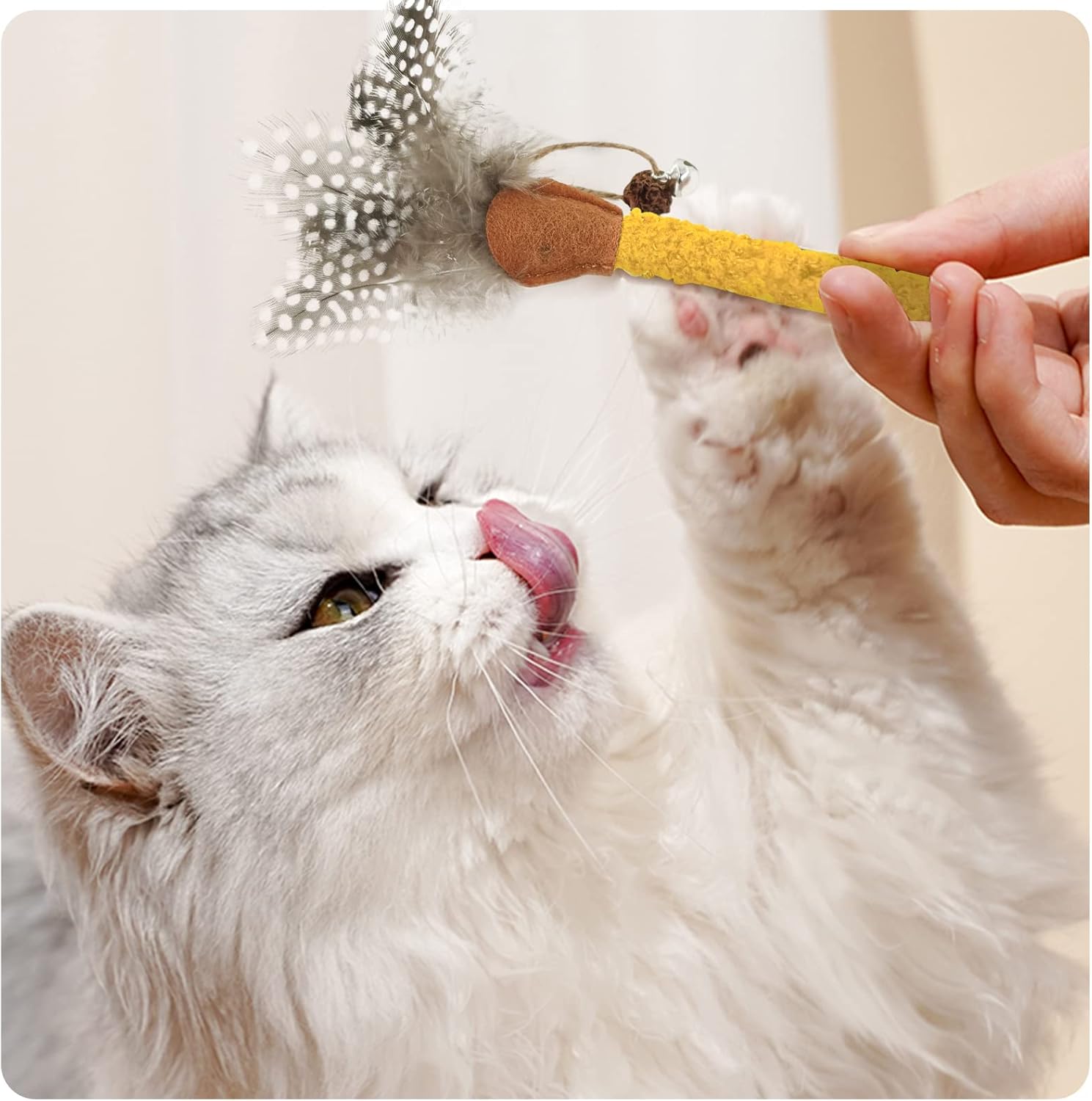 HKM-7205693 Natural Cat Chew Sticks with Feather for Teeth Cleaning and Stress Relief, 3-Color Set