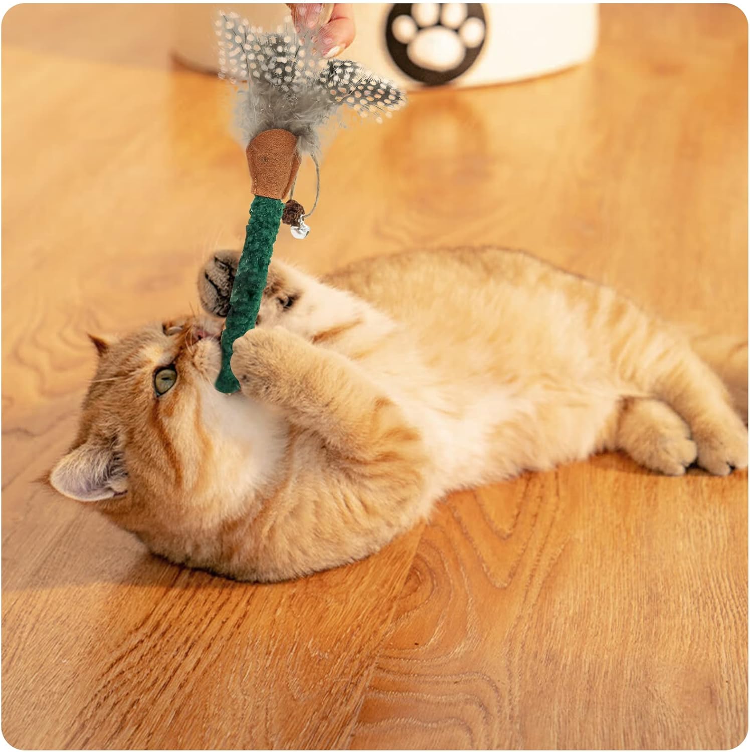 HKM-7205693 Natural Cat Chew Sticks with Feather for Teeth Cleaning and Stress Relief, 3-Color Set