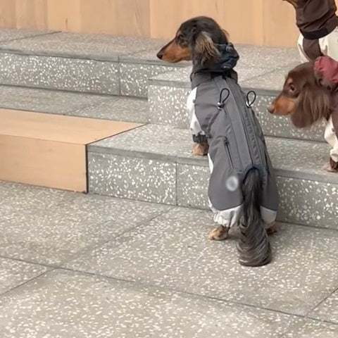 HKM-7209789 Warm and Stylish Dachshund Shell Jacket for Autumn and Winter - Gray and Brown Options Available