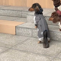 HKM-7209789 Warm and Stylish Dachshund Shell Jacket for Autumn and Winter - Gray and Brown Options Available