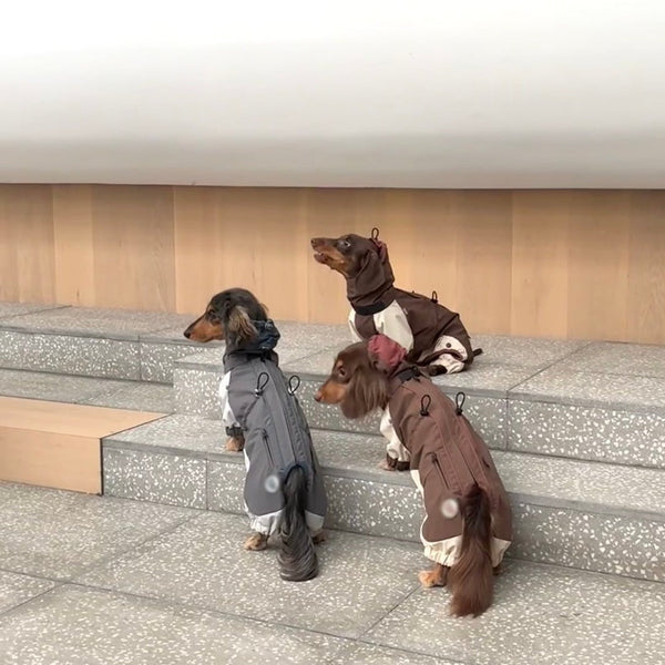 HKM-7209789 Warm and Stylish Dachshund Shell Jacket for Autumn and Winter - Gray and Brown Options Available