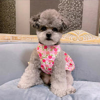 HKM-7211581 Dog Cotton Blue and White Skirt with Hand Rope - Comfortable Princess Style