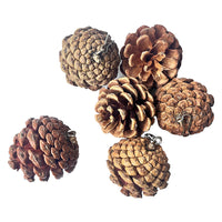 HKM-7212605 Pine Cone Hanging Toy with Studs for Interactive Pet Play