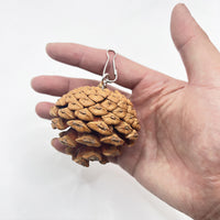 HKM-7212605 Pine Cone Hanging Toy with Studs for Interactive Pet Play