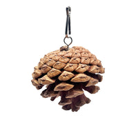 HKM-7212605 Pine Cone Hanging Toy with Studs for Interactive Pet Play