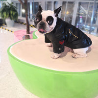 HKM-7218109 Stylish Motorcycle Leather Clothing for Pets ¨C Two-Legged Design in Black with Cashmere Options