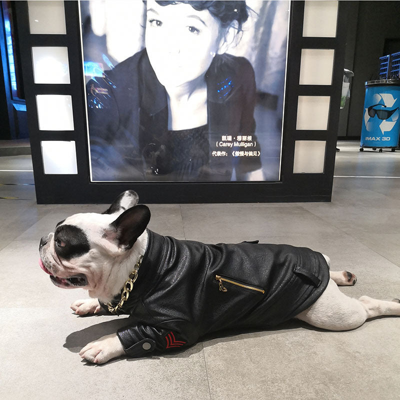 HKM-7218109 Stylish Motorcycle Leather Clothing for Pets ¨C Two-Legged Design in Black with Cashmere Options