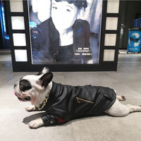 HKM-7218109 Stylish Motorcycle Leather Clothing for Pets ¨C Two-Legged Design in Black with Cashmere Options