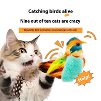 HKM-7232061 Colorful Bird Plush Simulation Cat Toy - Summer 2024 Edition
