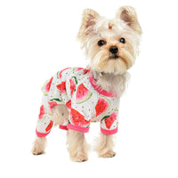 HKM-7236797 Fashionable Watermelon Print Dog Jumpsuit for All Sizes
