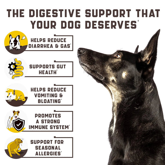 HKM-7237053 Probiotics for Dogs with Digestive Enzymes - Support Gut Health, Allergies, Itchy Skin, and Immunity - Duck Flavor Chews, 180 Count