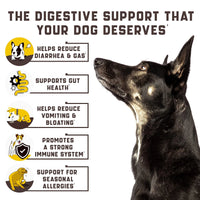 HKM-7237053 Probiotics for Dogs with Digestive Enzymes - Support Gut Health, Allergies, Itchy Skin, and Immunity - Duck Flavor Chews, 180 Count