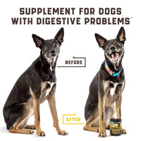 HKM-7237053 Probiotics for Dogs with Digestive Enzymes - Support Gut Health, Allergies, Itchy Skin, and Immunity - Duck Flavor Chews, 180 Count