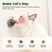 HKM-7238461 Natural Catnip Toys - 4 Pack of Edible Chew Balls for Dental Health and Playtime