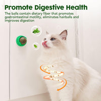 HKM-7238461 Natural Catnip Toys - 4 Pack of Edible Chew Balls for Dental Health and Playtime