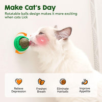 HKM-7238461 Natural Catnip Toys - 4 Pack of Edible Chew Balls for Dental Health and Playtime