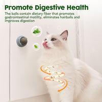 HKM-7238461 Natural Catnip Toys - 4 Pack of Edible Chew Balls for Dental Health and Playtime