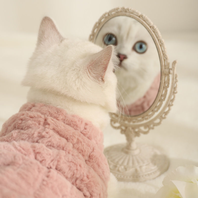 HKM-7241405 Warm Fleece-Lined Cat Clothing in Pink and Yellow Velvet, Sizes S to XL