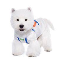 HKM-7242557 Bichon Maltese Summer Bra Top for Small Dogs - Casual Beige Pet Apparel