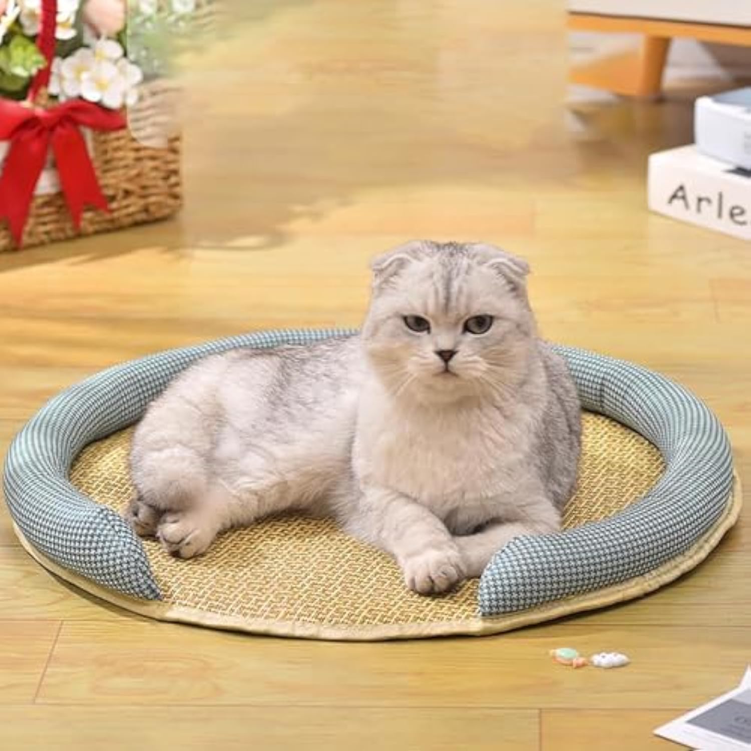 HKM-7244221 Cooling Cat Rattan Bed with Breathable Cushion and Lightweight Summer Mattress