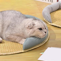 HKM-7244221 Cooling Cat Rattan Bed with Breathable Cushion and Lightweight Summer Mattress