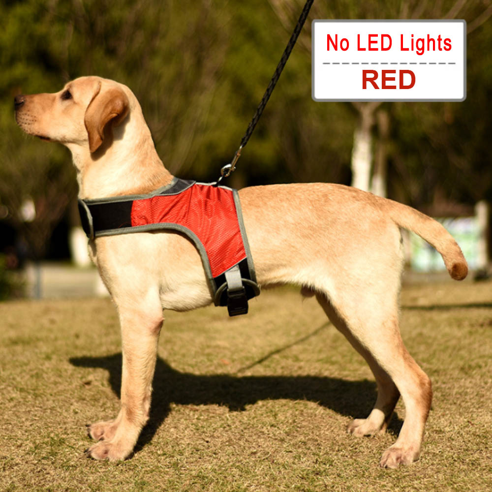 HKM-7251773 Luminous LED Pet Chest Strap - Lake Blue and Fluorescent Green Options Available
