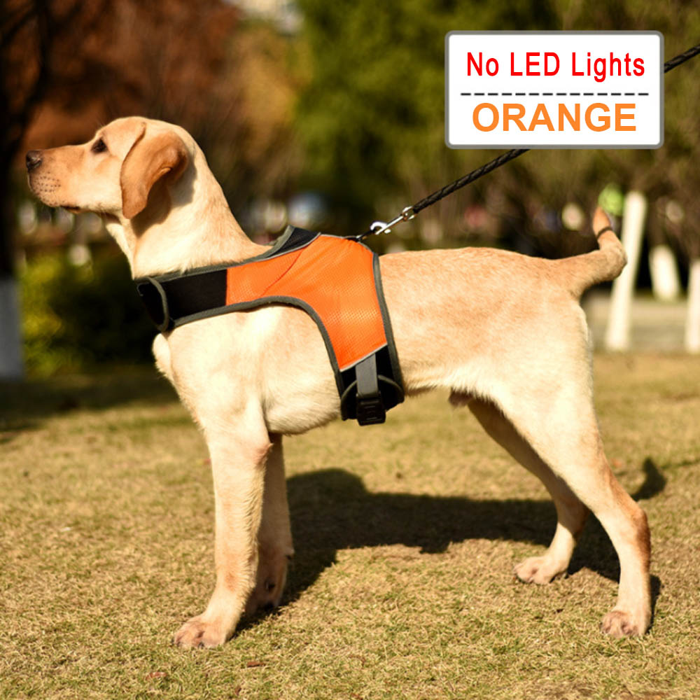 HKM-7251773 Luminous LED Pet Chest Strap - Lake Blue and Fluorescent Green Options Available