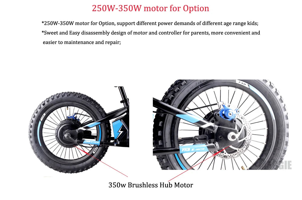 HKM-725715 16-Inch Kids Electric Bike with 36V Hub Motor, 5.0AH Lithium Battery, 2 Gears, Disc Brakes
