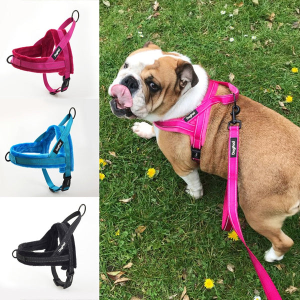 HKM-7257533 Adjustable Fleece Pet Vest with Reflective Chest Harness and Durable Leash