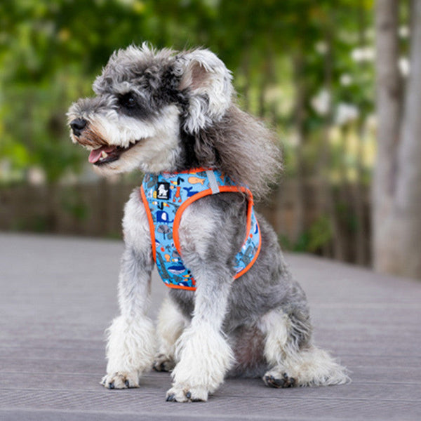 HKM-7258045 Breathable Lightweight Dog Vest Strap with Traction Rope in Various Colors